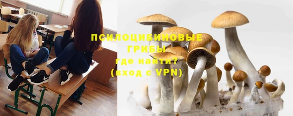 прущие грибы Балахна
