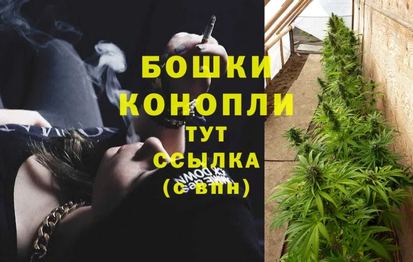 прущие грибы Балахна