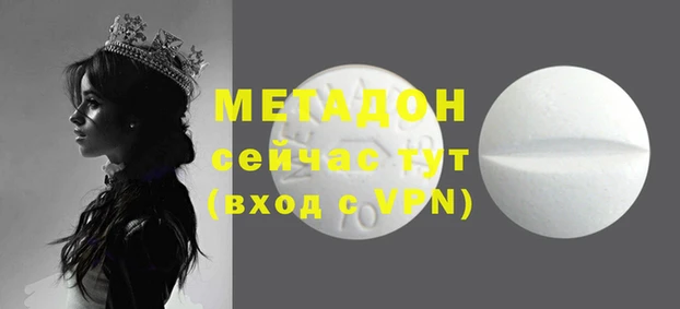 прущие грибы Балахна