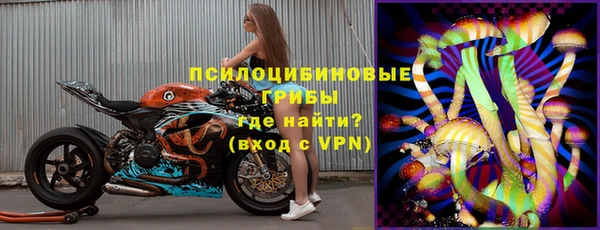 прущие грибы Балахна