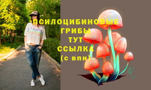 хмурый Грязи