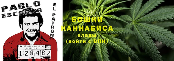 прущие грибы Балахна