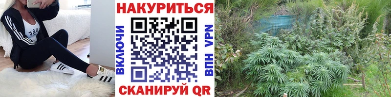 маркетплейс клад Дальнегорск МАРИХУАНА индика